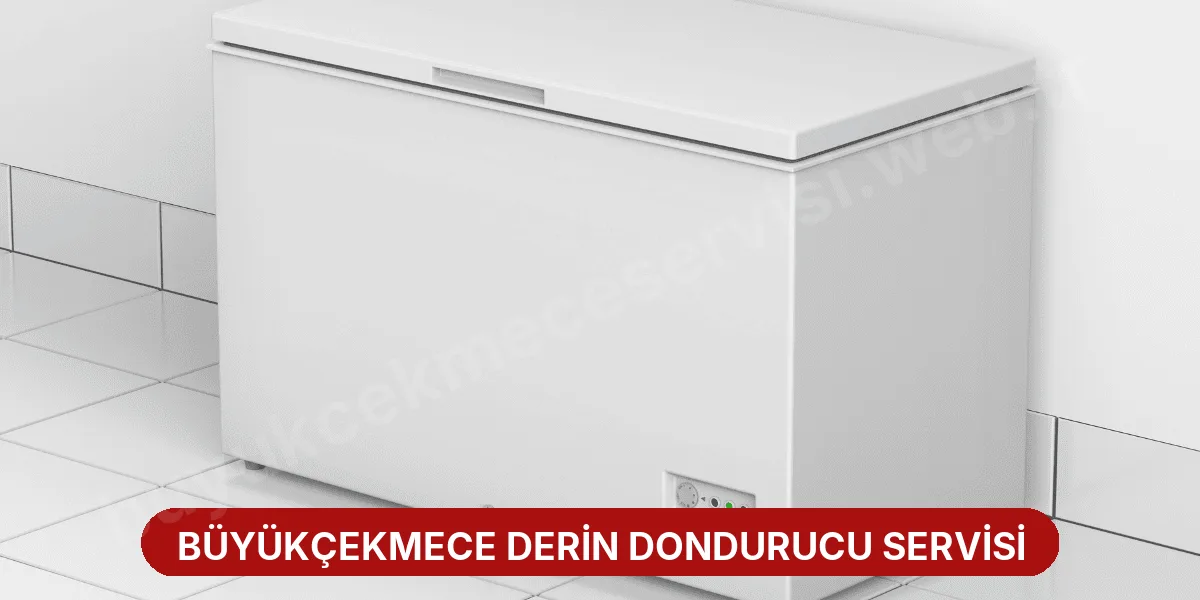 Büyükçekmece Derin Dondurucu Servisi
