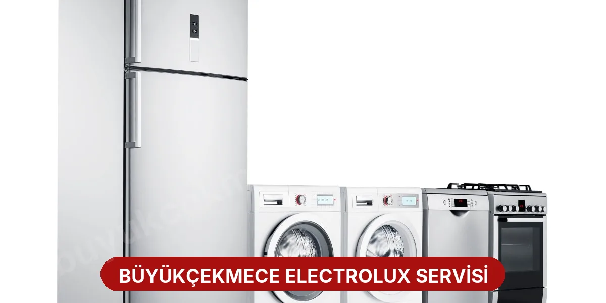 Büyükçekmece Electrolux Servisi