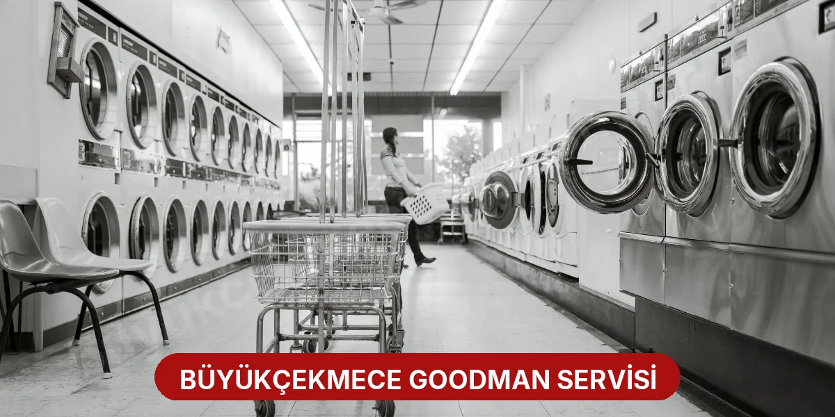 Büyükçekmece Goodman Servisi