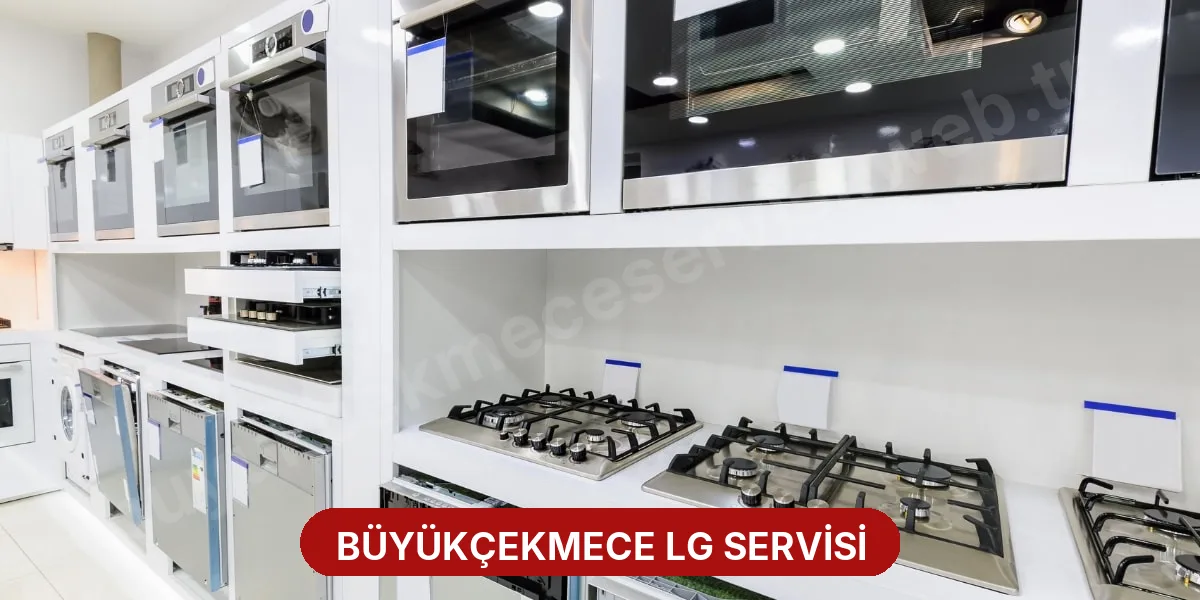 Büyükçekmece LG Servisi