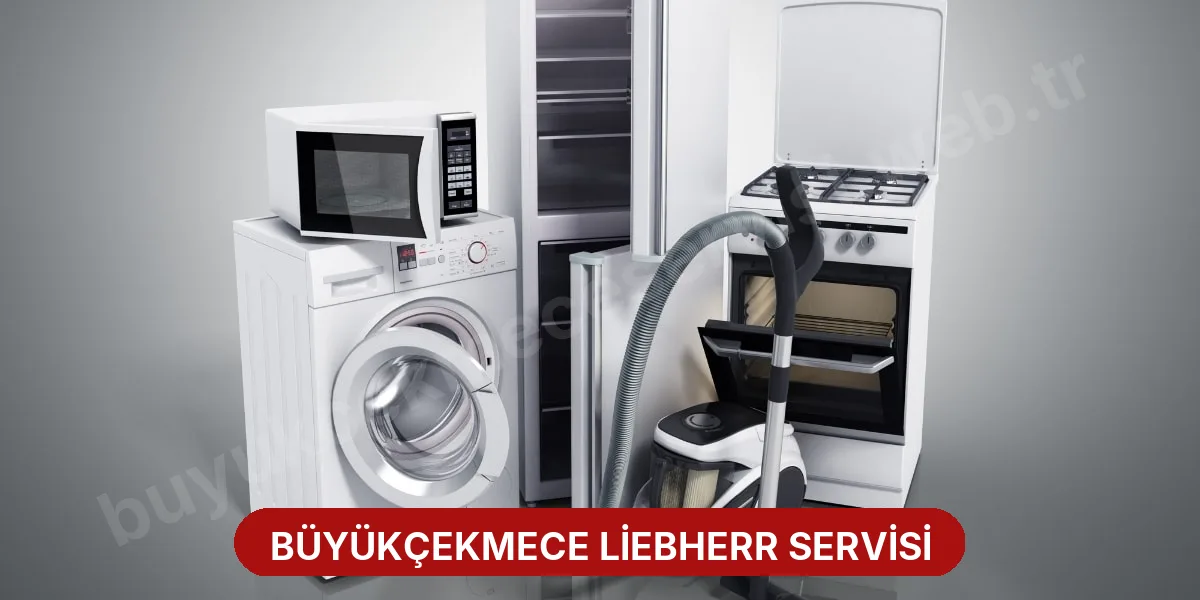 Büyükçekmece Liebherr Servisi