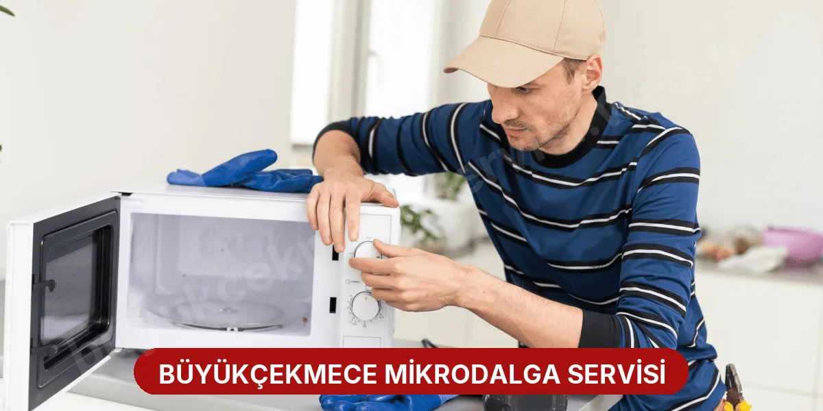 Büyükçekmece Mikrodalga Servisi